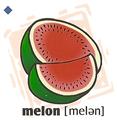 skolka_bratislava_melon