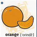 skolka_bratislava_orange