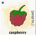 skolka_bratislava_raspberry