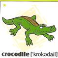 skolka_bratislava_crocodile