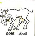skolka_bratislava_goat