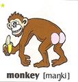 skolka_bratislava_monkey