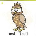 skolka_bratislava_owl