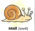 skolka_bratislava_snail