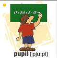 skolka_bratislava_pupil